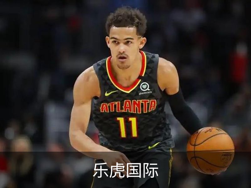 乐虎国际概况